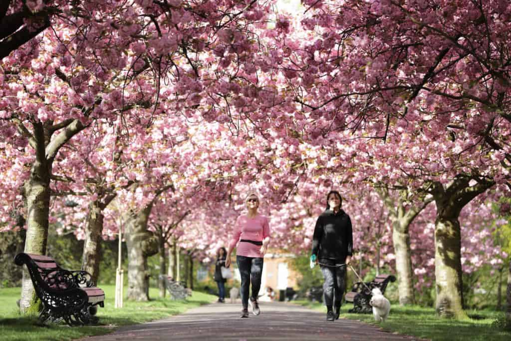 greenwich_park