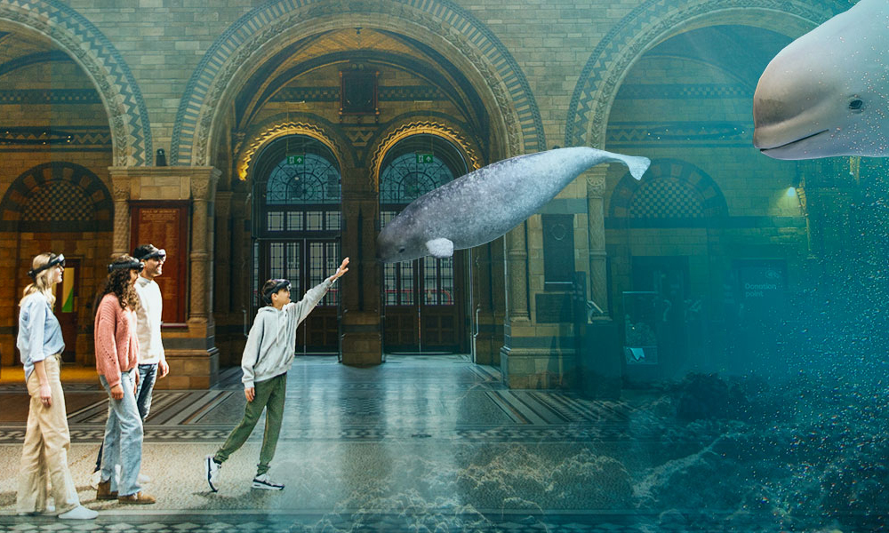 Natural History Museum