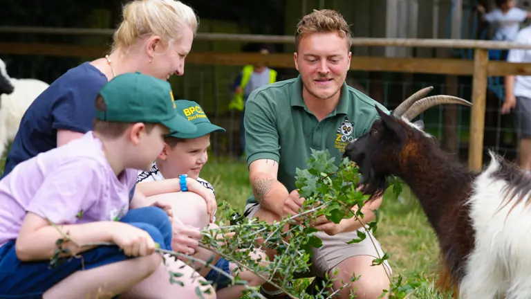Battersea Park Children’s Zoo