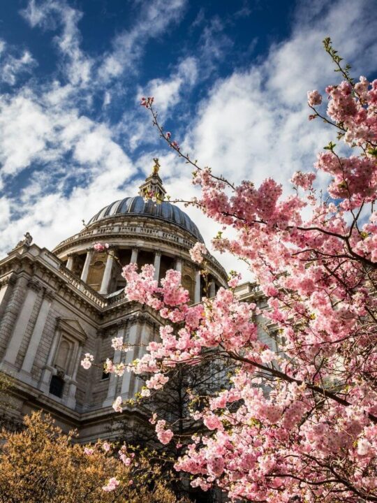 st paul cathedral