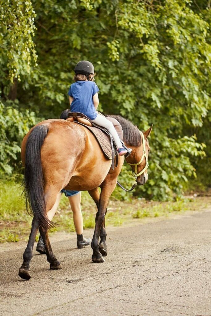 horse riding