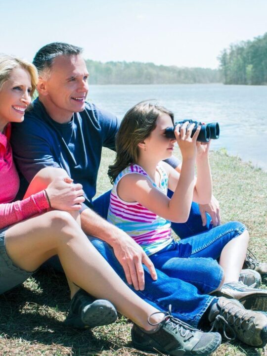 best bird watching London