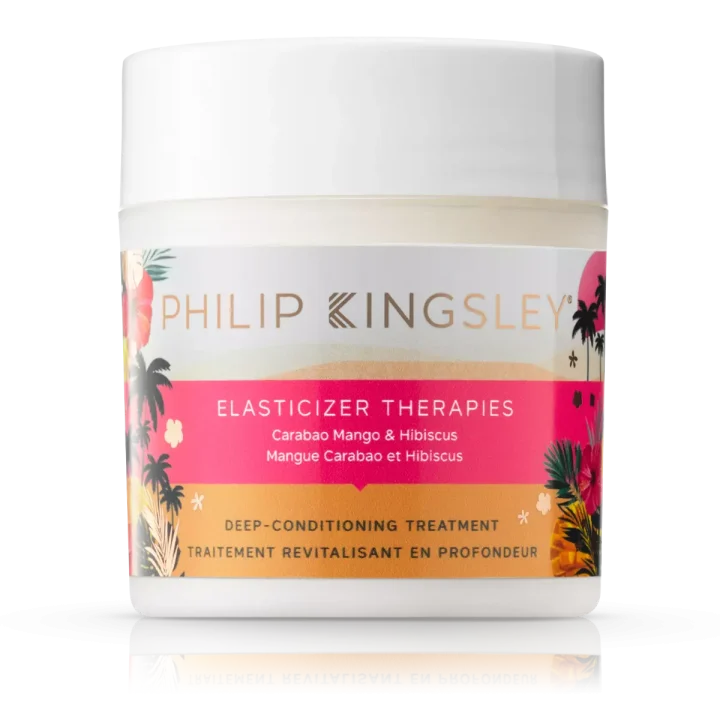 Philip Kingsley Elasticizer