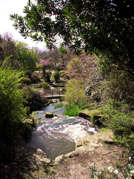 Queen Mary’s Gardens