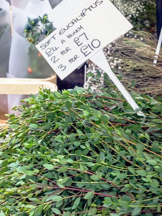 Columbia Road Flower Market eucalyptus for sale