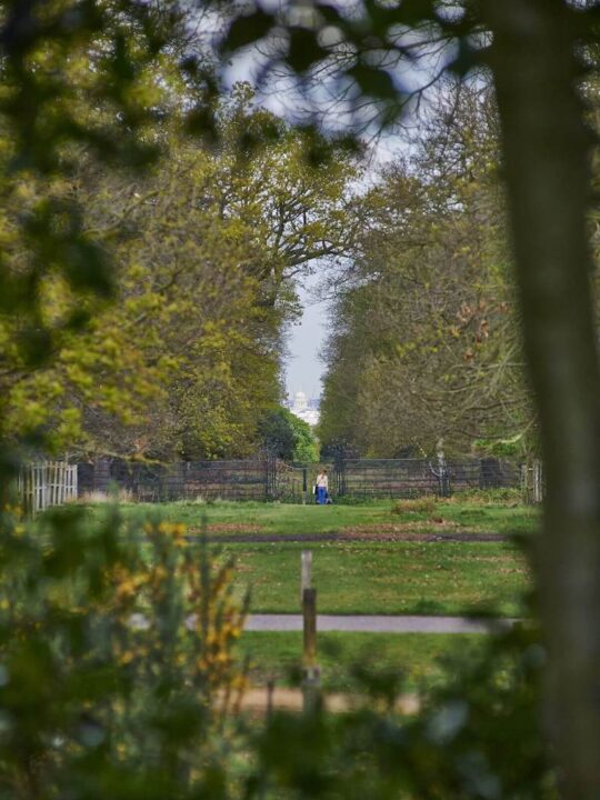 view of St Pauls Cathedral from King Henrys Mound