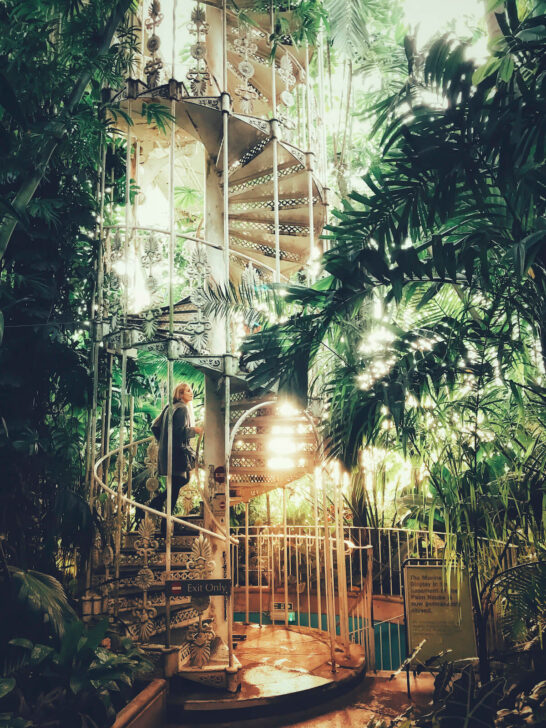 kew gardens palm house