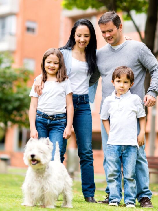 family dog