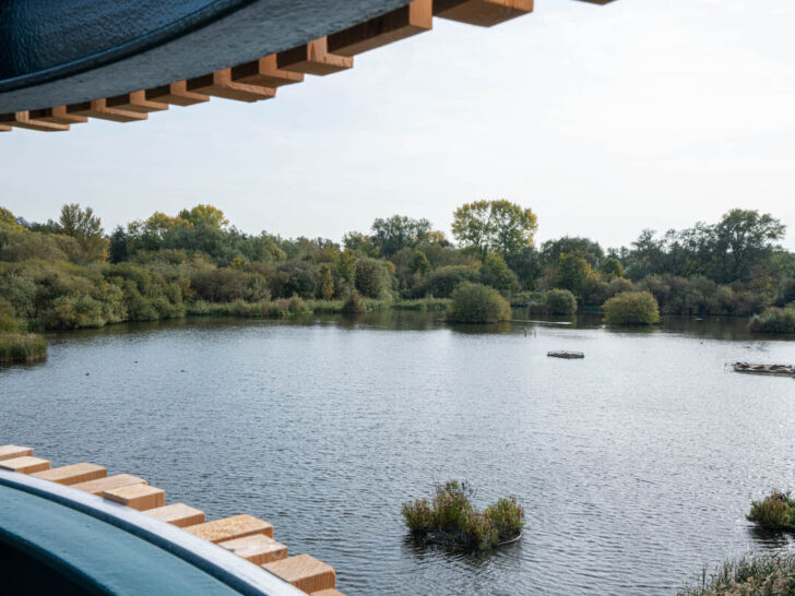 lee valley bird watching