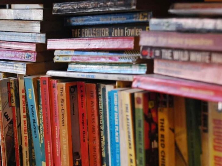 Black Gull Books
