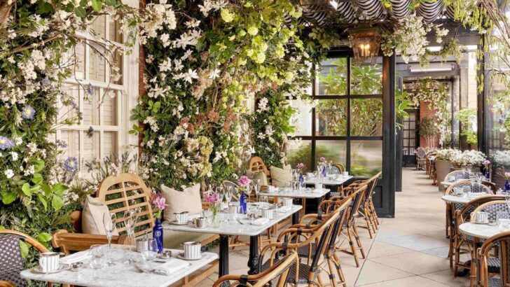 Dalloway Terrace exterior