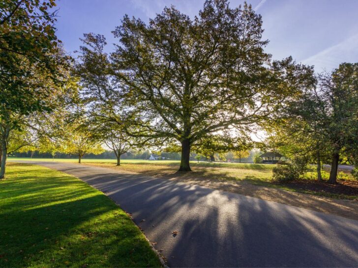 london park
