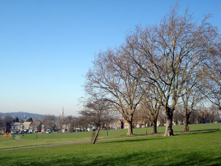 hilly fields brockley/lewisham