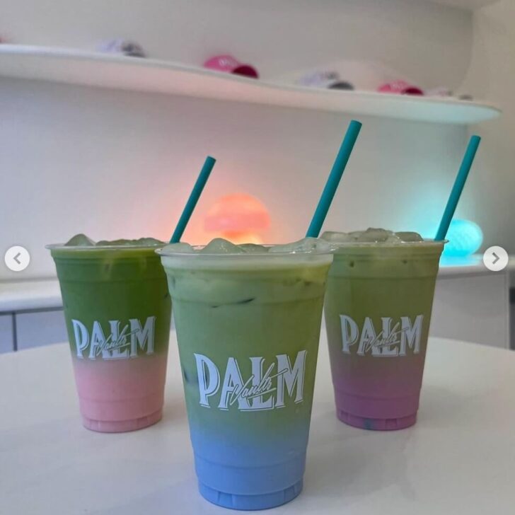 palm vaults drinks
