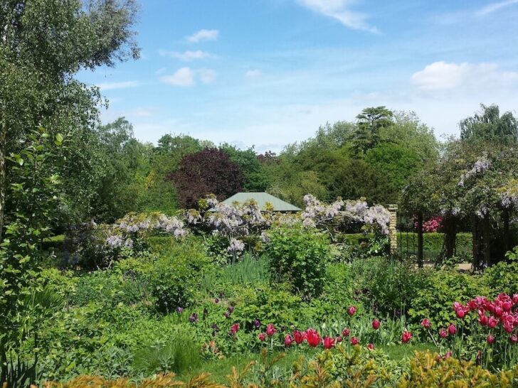 Peckham Rye Park