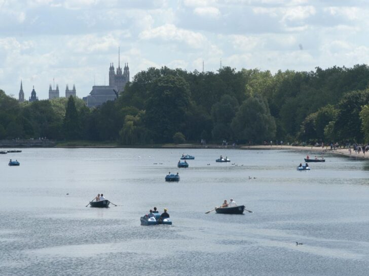 serpentine