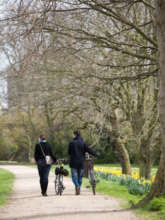 cyclists in the regents park