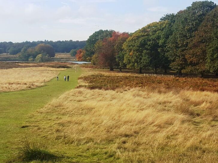 richmond park