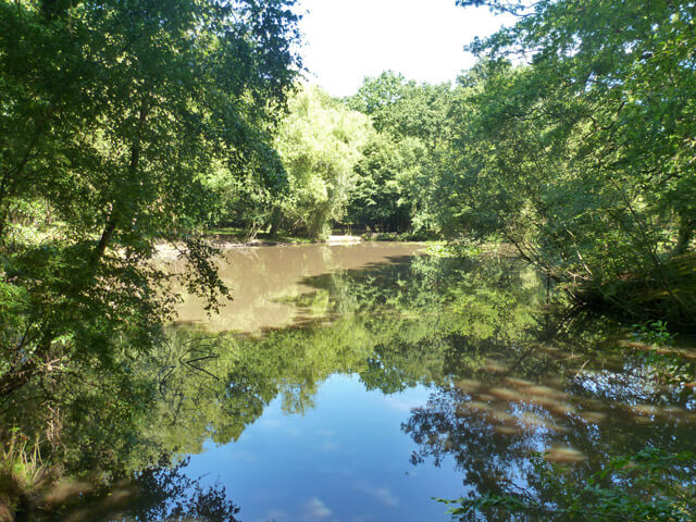 epping forest lakes