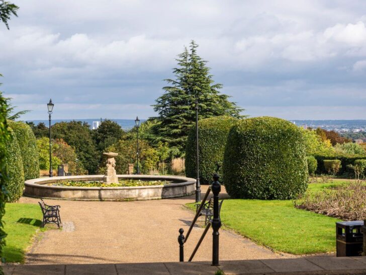 view from ally pally