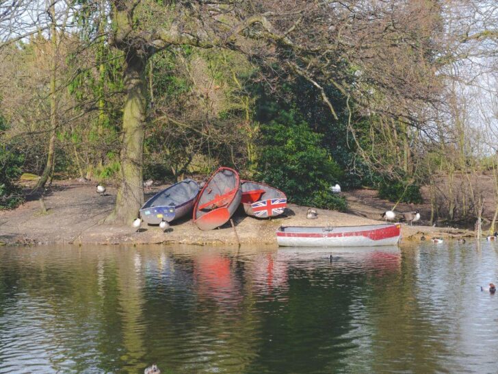 finsbury park lake