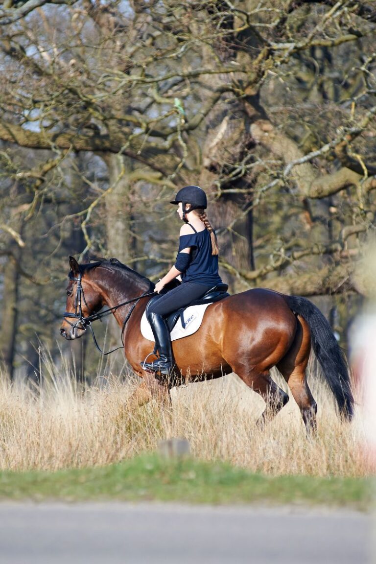 woman on horse in richmond park