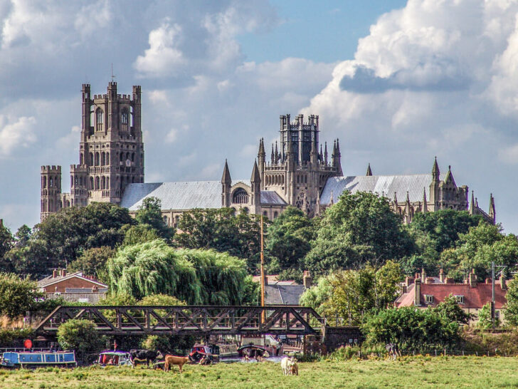 ely
