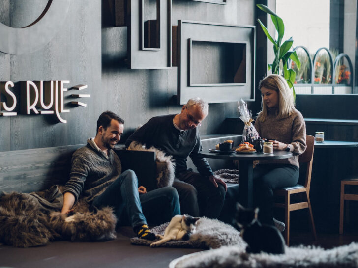 people-at-java-whiskers-cat-cafe-london