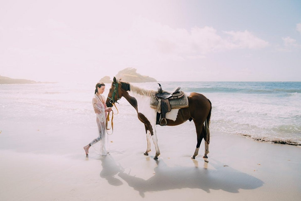 Atlantic Shores Riding Stables