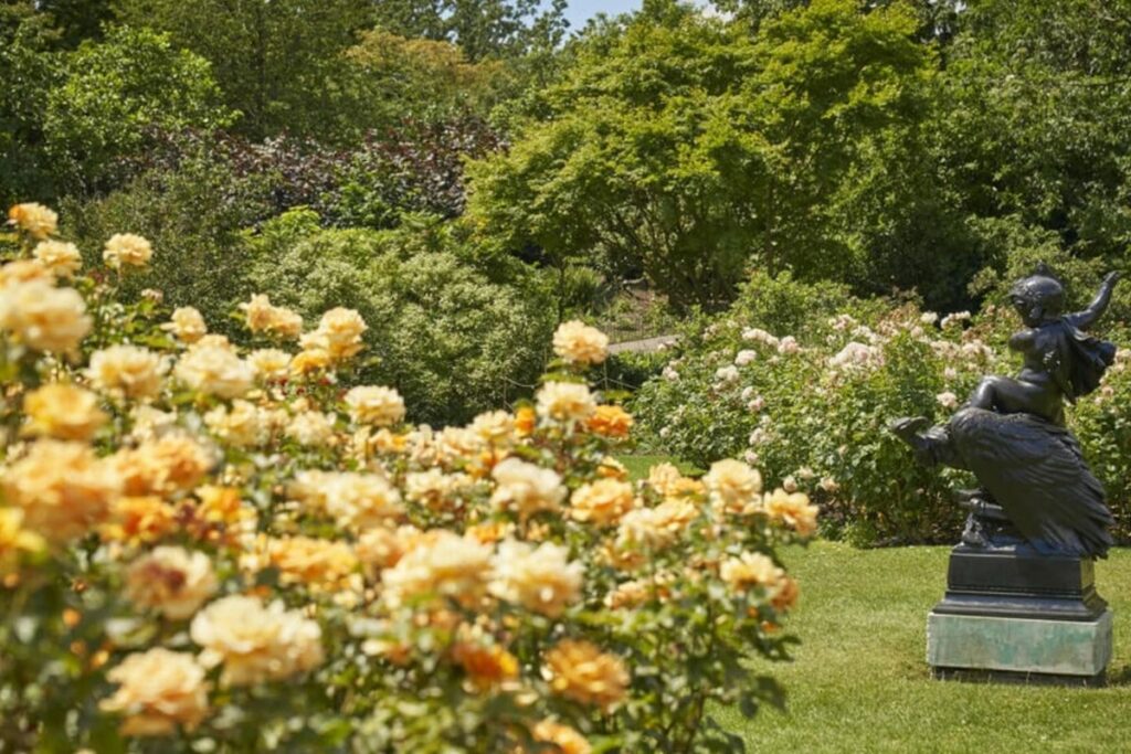 queen mary garden