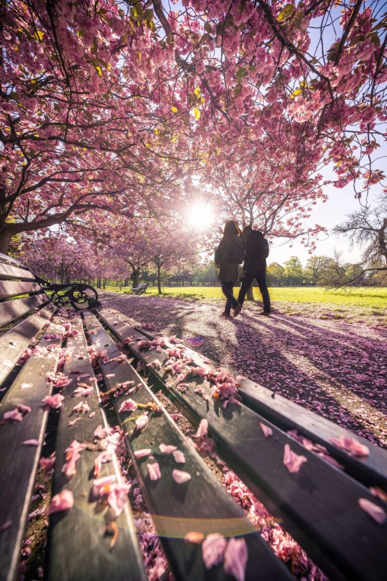 couple walking through greenwich park